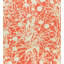 Flora Wildflower Fabric-41401114