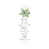 Toile tendue
