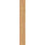 Sapin Douglas-109290099-112789701