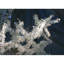 Lustre lumière branche de glace-90634163-90634167-130741860
