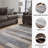 Chasmin Striped Indoor Rug-97832142