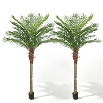 Artificial Palm Tree In A Pot A Set
