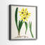 AntiqueFloralFolioVI - reproduction encadrée de qualité supérieure - prête à être accrochée - aucun clou requis - aucun clou requis-622635971-622635973