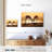 Brampt Antelope Springbok Duel-108695131