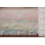 Tapis traditionnel en laine All-Over 8 x 11