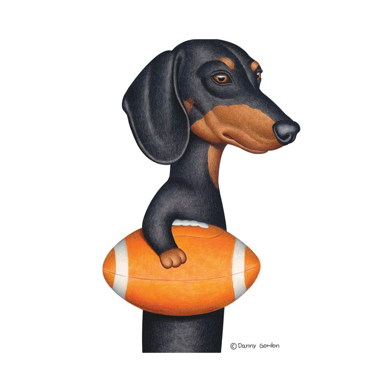 Black Dachshund Holding Orange Football by Danny Gordon - Wrapped Canvas Gallery-Wrapped Canvas Giclée, 30.48cm H x 20.32cm W