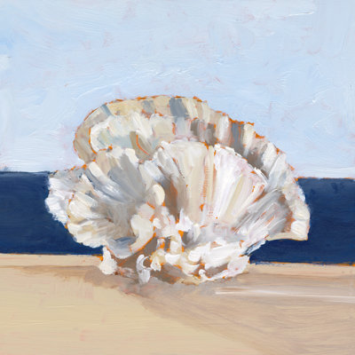 Coral By The Shore III by Ethan Harper - Wrapped Canvas Painting
