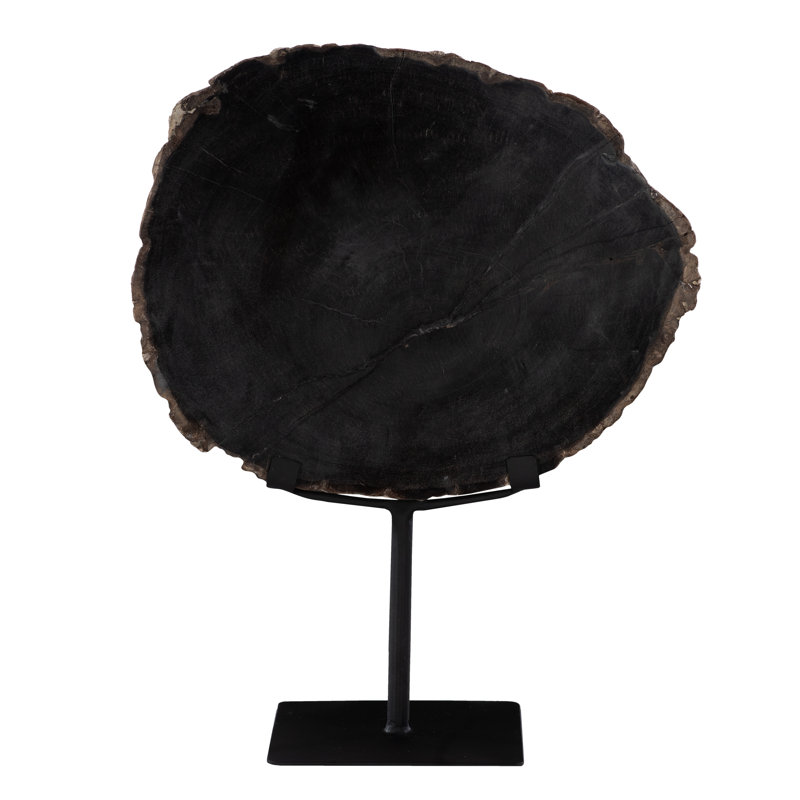 Elements Petrified Wood Slice On Stand