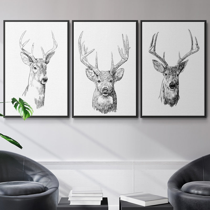 Young Buck S croquis I - ensemble de 3 reproductions sur toile, H 27 po x l 54 po, Noir