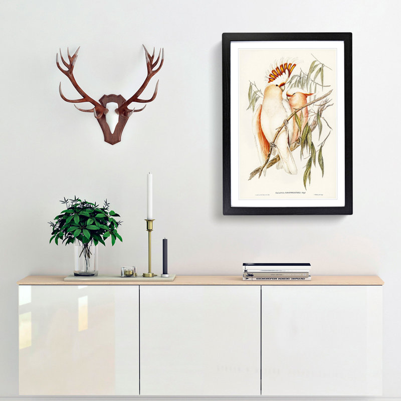 Leadbeater's Cockatoos by Elizabeth Gould - Picture Frame Painting Print, 36cm H x 27cm W x 2cm D, Black Framed