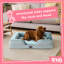 Snug Orthopaedic Pet Bed-98240145-108806511