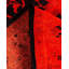 Tapis unique noué à la main Osbaldo - orange