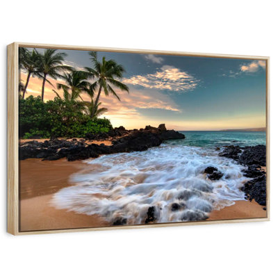 Maui, baie de Makena, Borasisi