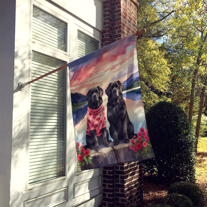 Double Sided 40'' H x 28'' W Polyester Valentine's Day House Flag
