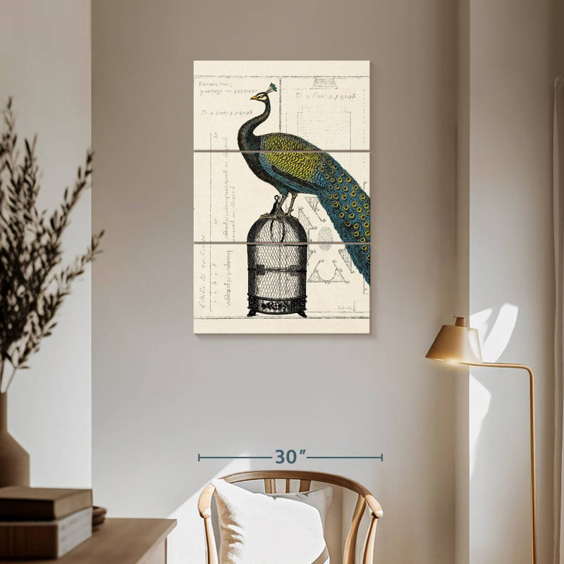 Cage à oiseaux Brampt Peacock II