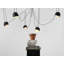 Allan 6 - Light Cluster Pendant-40239227