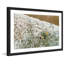 Single Picture Frame Print-18320459