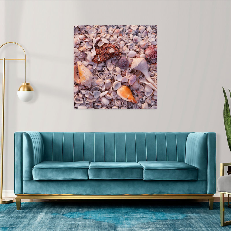 USA Florida Sanibel Island Gulf of Mexico Sea shell on the beach 1 Piece Wrapped Canvas Wall Art, 91.44cm H x 91.44cm W