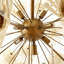 Winona Chandelier