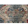 Cuthbertson Oriental Indoor Rug