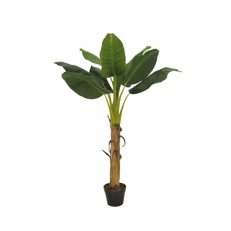 128cm Banana Leaf Tree in Planter