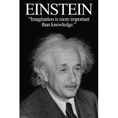 « einstein », impression sur toile tendue