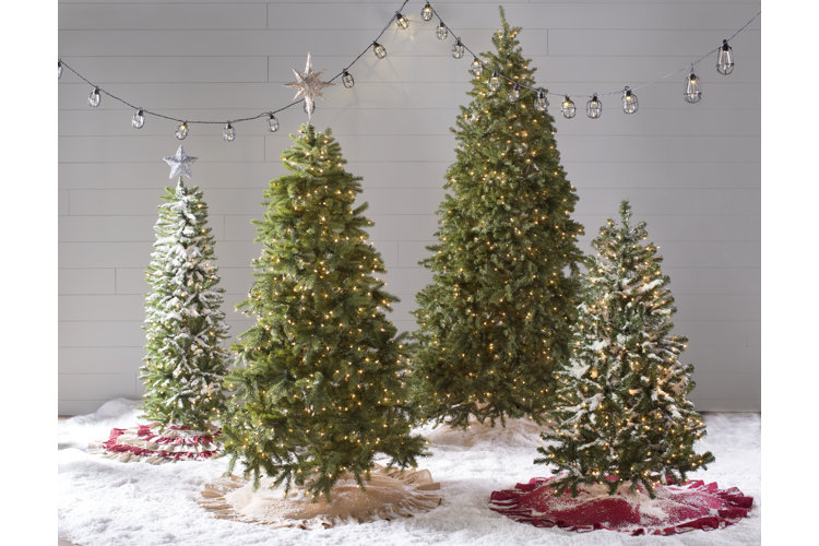 lighted Christmas trees
