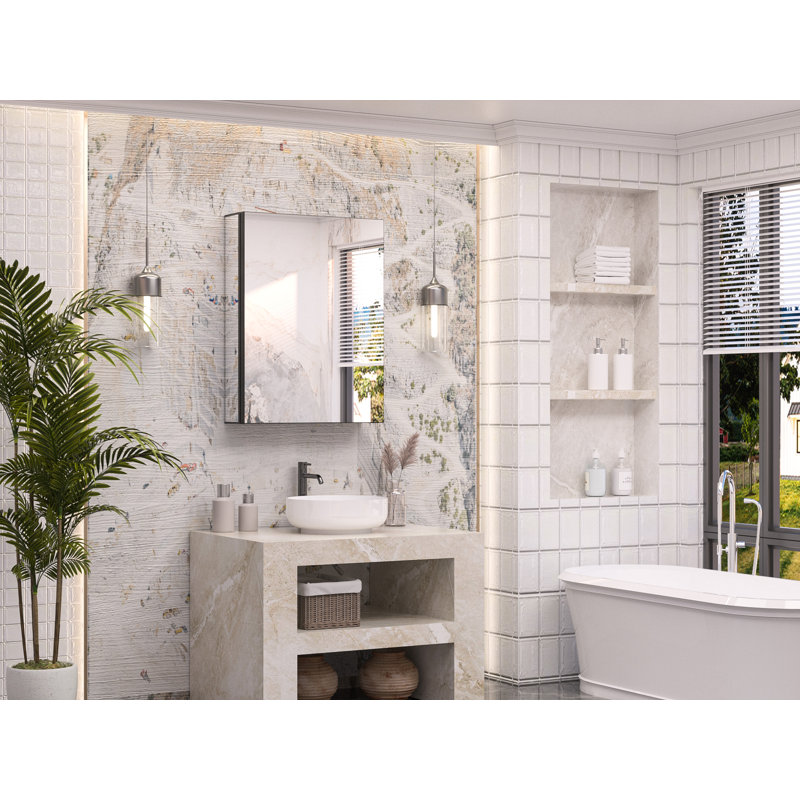 Armoire à pharmacie en aluminium à miroir avec 2 tablettes Omeed, H 26 po x l 20 po x P 5 po, Noir