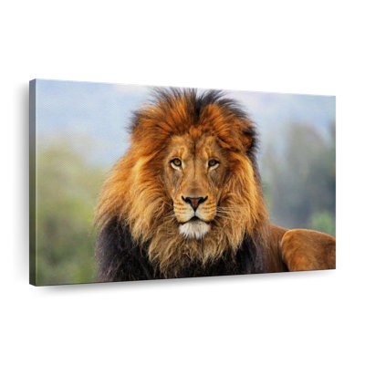 Proud Lion Canvas Print