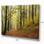 Forest Trail in the Fog - reproduction de photo sur toile tendue-29503759