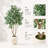8 FT Artificial Ficus Tree With 18" White Planter