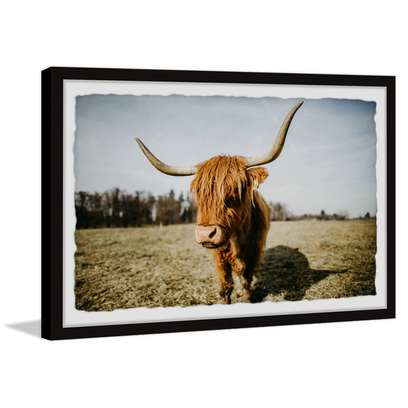 Wide Horns - Single Picture Frame Print, 20cm H x 30cm W x 3.81cm D
