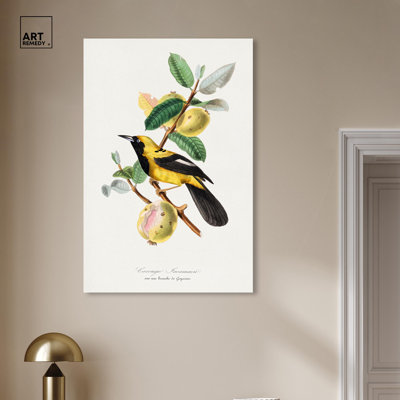 Reproduction d'art sur toile, Jacamar, 1842 par Gervais