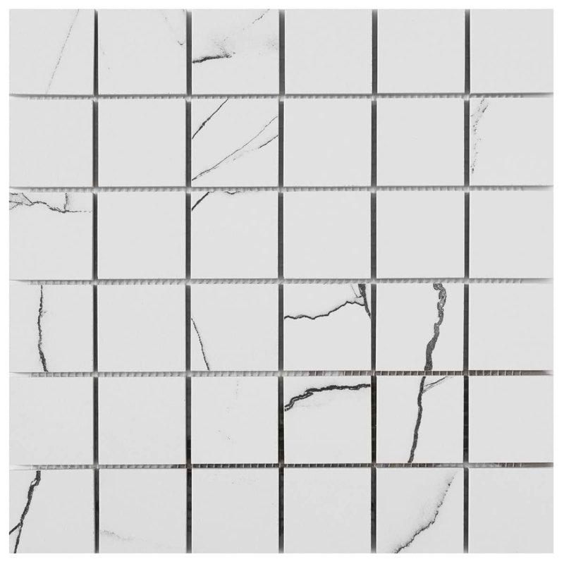 Drama Breach Black & White 2x2 Matte Porcelain Mosaic Tile
