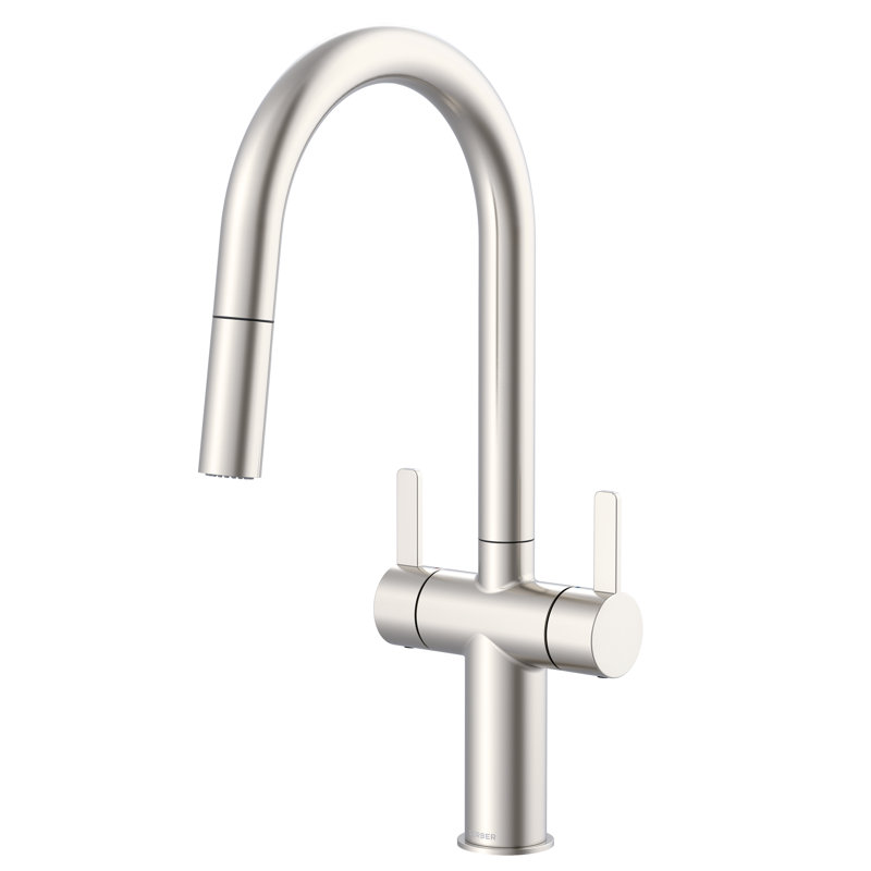 Amalfi 2-Handle Pull Down Sprayer Kitchen Faucet, Stainless Steel