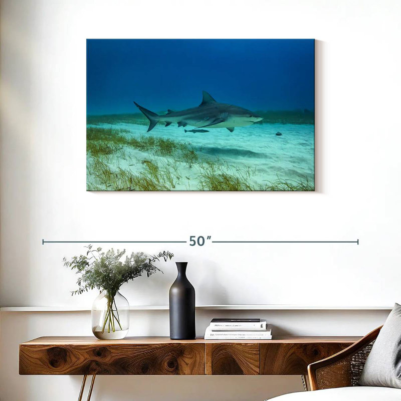 Brampt Bull Shark Habitat, 24" H x 36" W