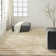 Striped Area Rug