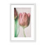 Nature Inspired The Spring Lovers by  - Picture Frame Graphic Art on Paper-81386869-131284562-131292477