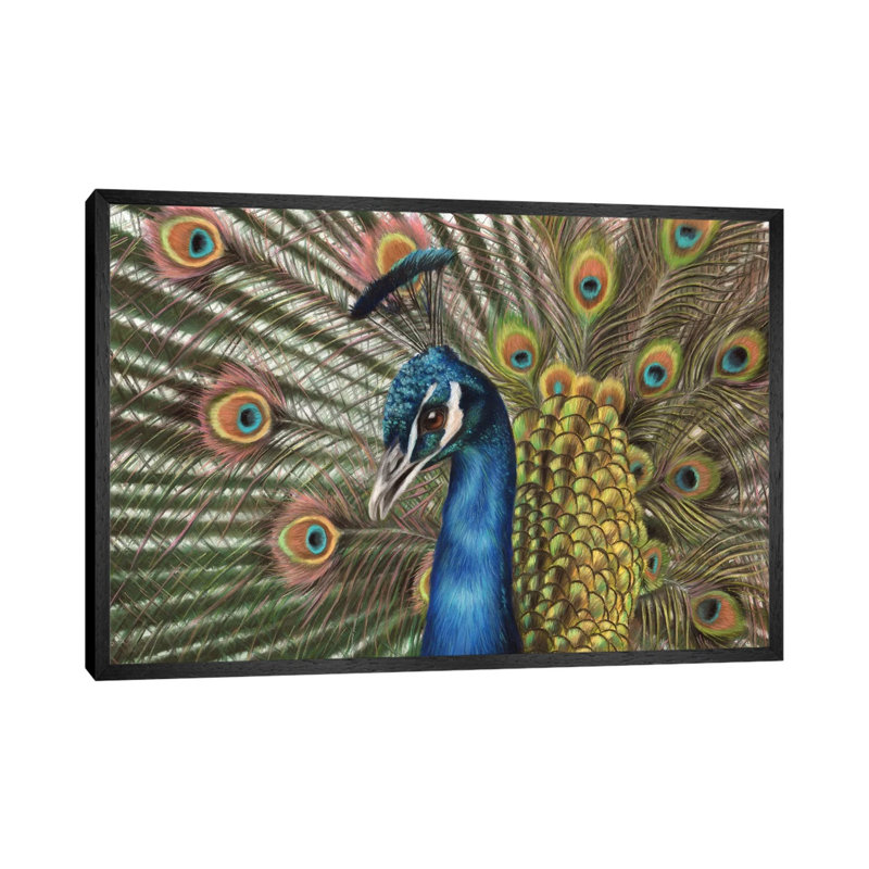 Peacock by Richard Macwee - Gallery-Wrapped Canvas Giclée on Canvas, Black Framed, 66.04 cm H x 45.72 cm W