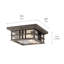 Plafonnier extérieur Beacon Square Olde Bronze à 2 lumières avec abat-jour en verre martelé transparent-3064969