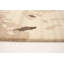 Tapis en laine noué la eternity brune 5 pi x 8 pi one-of-kind Varela