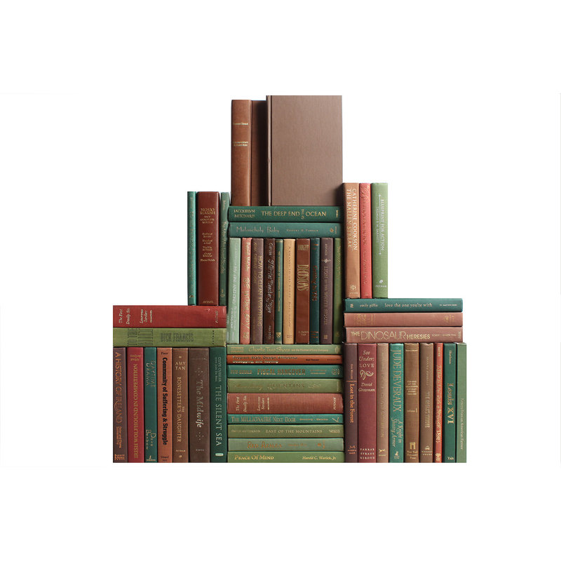 Modern Cabin Book Wall, 50