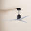 Eliza Outdoor Downrod Ceiling Fan-209975077-216976760