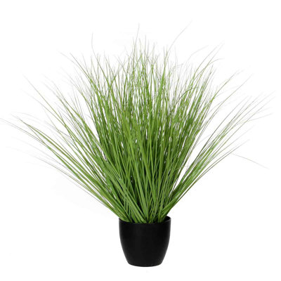 68cm Grass in Pot