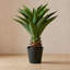 Desert Haven 32 po plante en pot faux aloès en pot noir