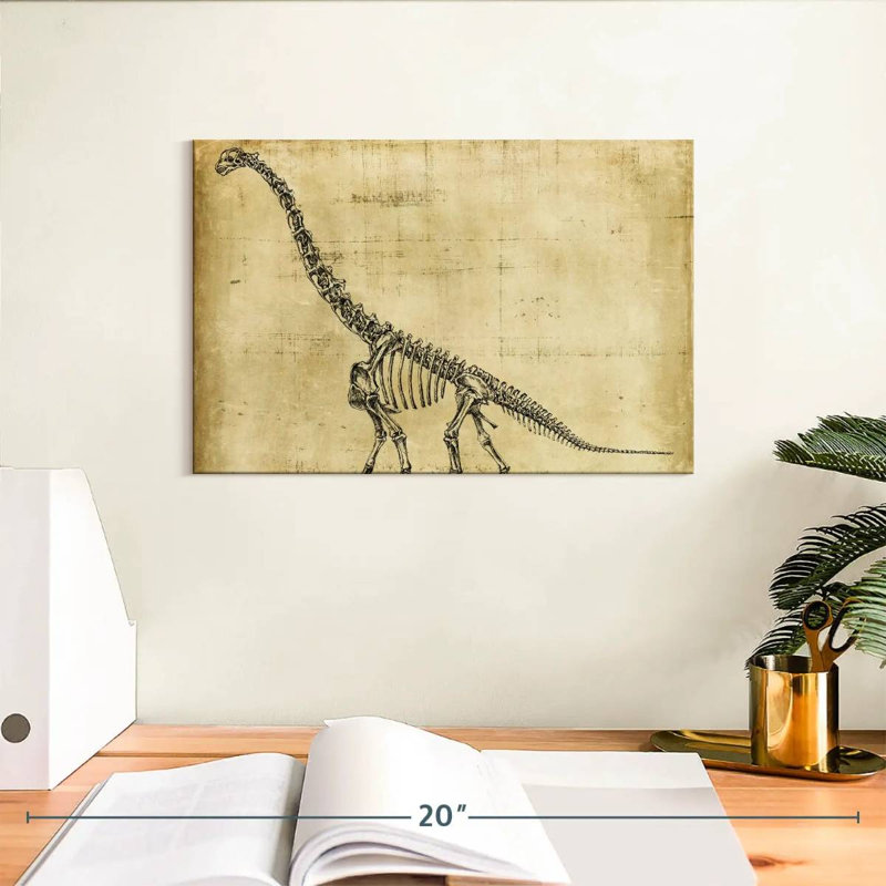 Étude du brachiosaure Brampt, H 8 po x l 12 po