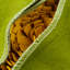  Housse et insert de coussin décoratif en tournesol Appliqued-718501803-717990371