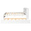 Lit simple avec lit gigogne et bibliothèque intégrée, lit de rangement compact pour les petites chambres, blanc-117789627-117789626