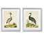 Heron Portrait I-Framed 2 Piece Set - Black - 2 Piece Single Picture Frame Print