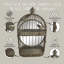 Rusty Garden Wall Mirror Bird Cage-871332859